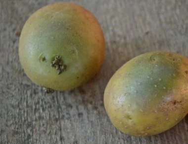 Tι κίνδυνος υπάρχει με τις πατάτες που πρασινίζουν; (βίντεο)